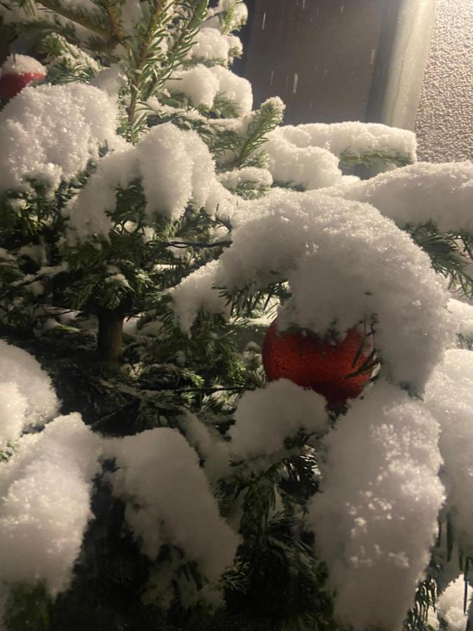 Ferienwohnungen In Erfurt Exteriör bild