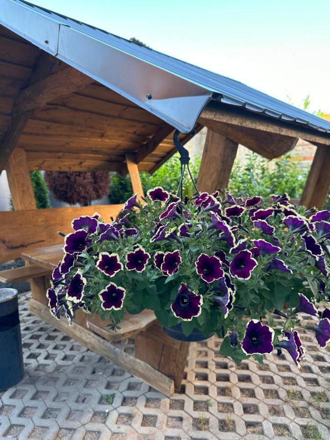 Ferienwohnungen In Erfurt Exteriör bild